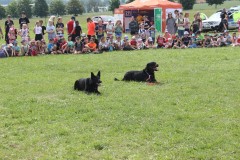 IMG_5797