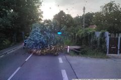 2025_06_23_TP_Bela-3