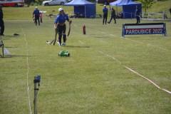 DSC0031