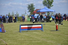 DSC0055