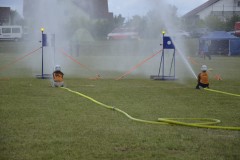 DSC0338