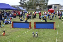 DSC0246