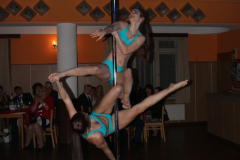 2017_01_28_ples_SDH_Jevicko-12