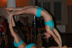 2017_01_28_ples_SDH_Jevicko-13