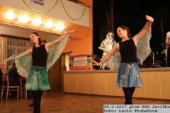 2017_01_28_ples_SDH_Jevicko-15