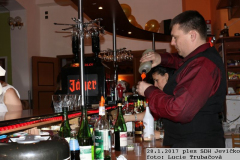 2017_01_28_ples_SDH_Jevicko-24