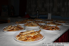 2017_01_28_ples_SDH_Jevicko-32