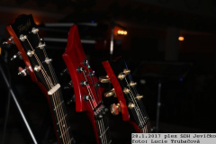 2017_01_28_ples_SDH_Jevicko-37