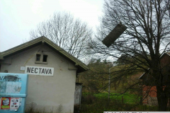 2017_10_29_TP_Nectava-04