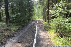 2016_05_29_takticke_cviceni_prehrada-41