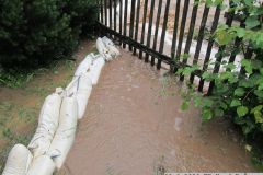 2020_06_29_TP_Nový Dvůr-03