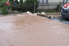 2020_06_29_TP_Nový Dvůr-05