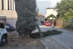 29. 6. 2026 TP Jevíčko