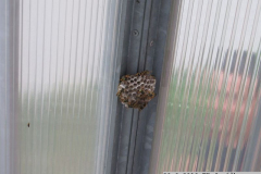 29.8.2019 TP Jevíčko