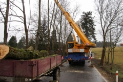 2016_03_03_ZOC_kaceni_stromu_Arnostak-01