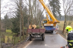 2016_03_03_ZOC_kaceni_stromu_Arnostak-02