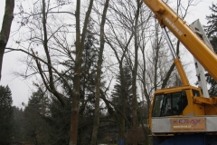 2016_03_03_ZOC_kaceni_stromu_Arnostak-03