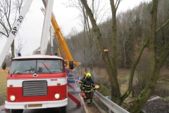 2016_03_03_ZOC_kaceni_stromu_Arnostak-07