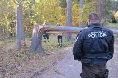 30.10.2018 TP strom přehrada