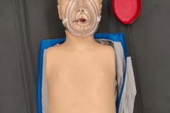 573859803_796119273228550_8587372208285385253_n