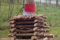 2017_04_30_vitani_jara-10