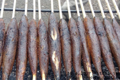 2017_04_30_vitani_jara-17