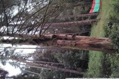 30. 6. 2024 TP Víska u Jevíčka