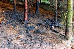 31.5.2004-Pozar-Jaromerice_2-5-scaled