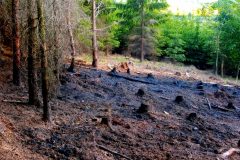 31.5.2004-Pozar-Jaromerice_3-5-scaled