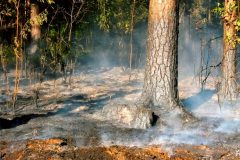 31.7.2004-Pozar-Z.-Arnostov_4-5-scaled