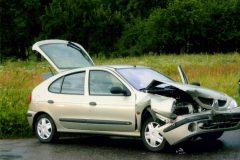 31.7.2005-DN-Nectava_1-6-scaled