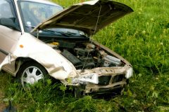 31.7.2005-DN-Nectava_2-6-scaled