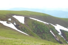 P1100245