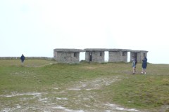 P1100246
