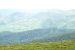 P1100249