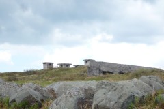 P1100251