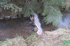 2019_04_06_DN_Bela-13