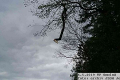 2019_05_06_TP_Smolná-02