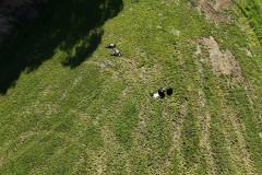 DJI_20260607090929_0003_D