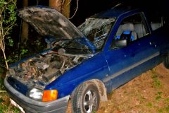 8.6.2004 DN Z. Arnoštov