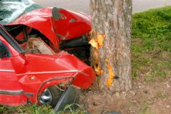 8.6.2005-DN-Jaromerice_5-5-scaled