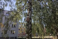 8. 9. 2026 TP Jevíčko