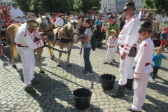 LITOMĚŘICE 2017-Výběr_20