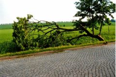 9.6.2004 popadané stromy