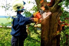 9.6.2004-popadane-stromy_3-5-scaled