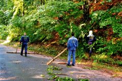 9.6.2004-popadane-stromy_4-5-scaled