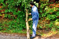 9.6.2004-popadane-stromy_5-5-scaled