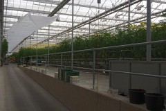 IMG_20251007_140002