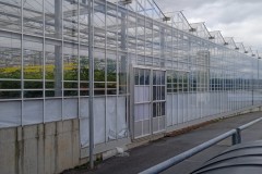 IMG_20251007_141552