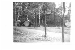 brigada-v-pivovarskem-parku-1974_11-17